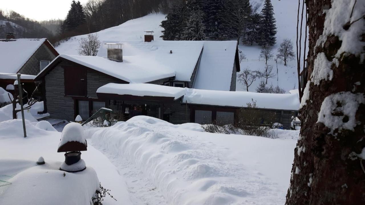 Haus Wiesenblick Walkenried Exteriör bild