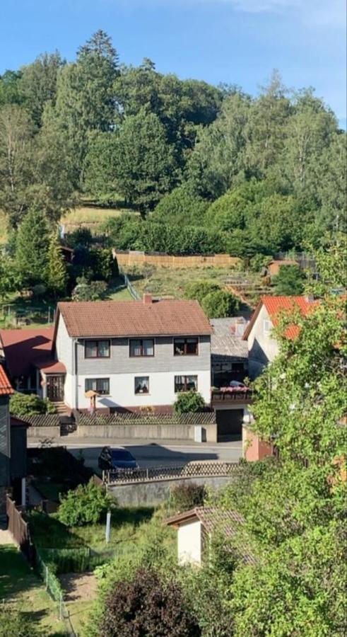 Haus Wiesenblick Walkenried Exteriör bild